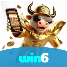 win6 visual